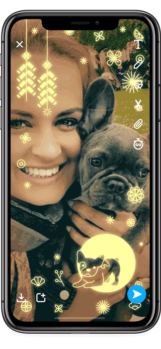 CNY_Filter_Frenchie_CompSmall.gif