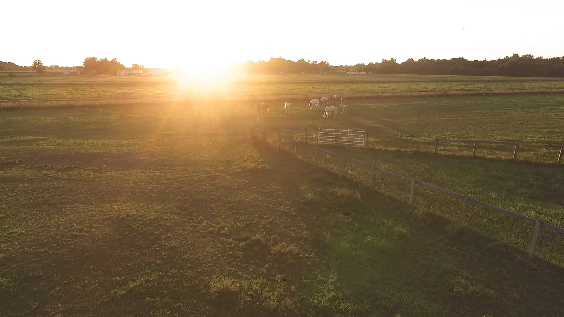 Narrow Gate Horse Ranch