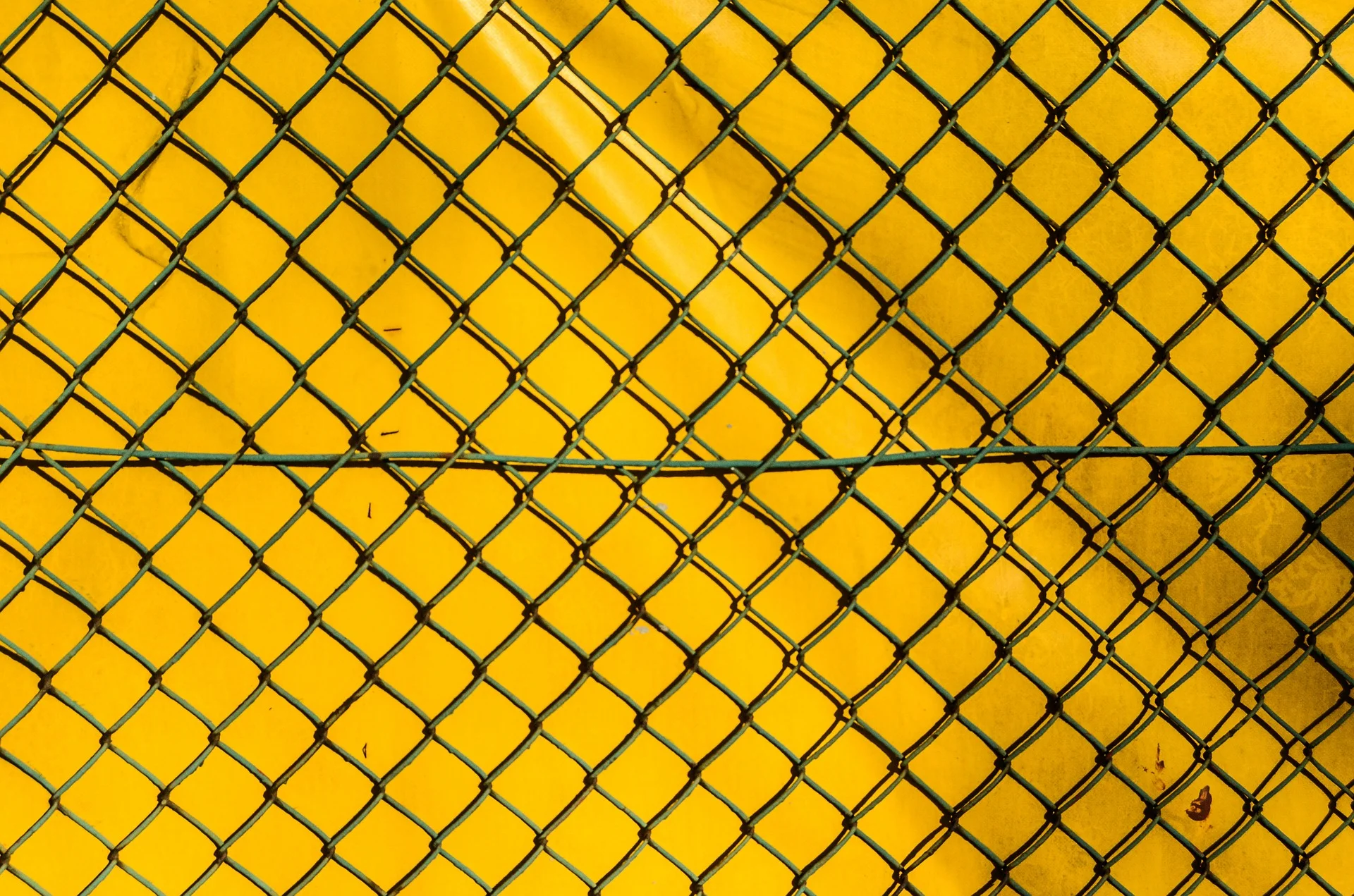 the-fence-428562_1920.jpg