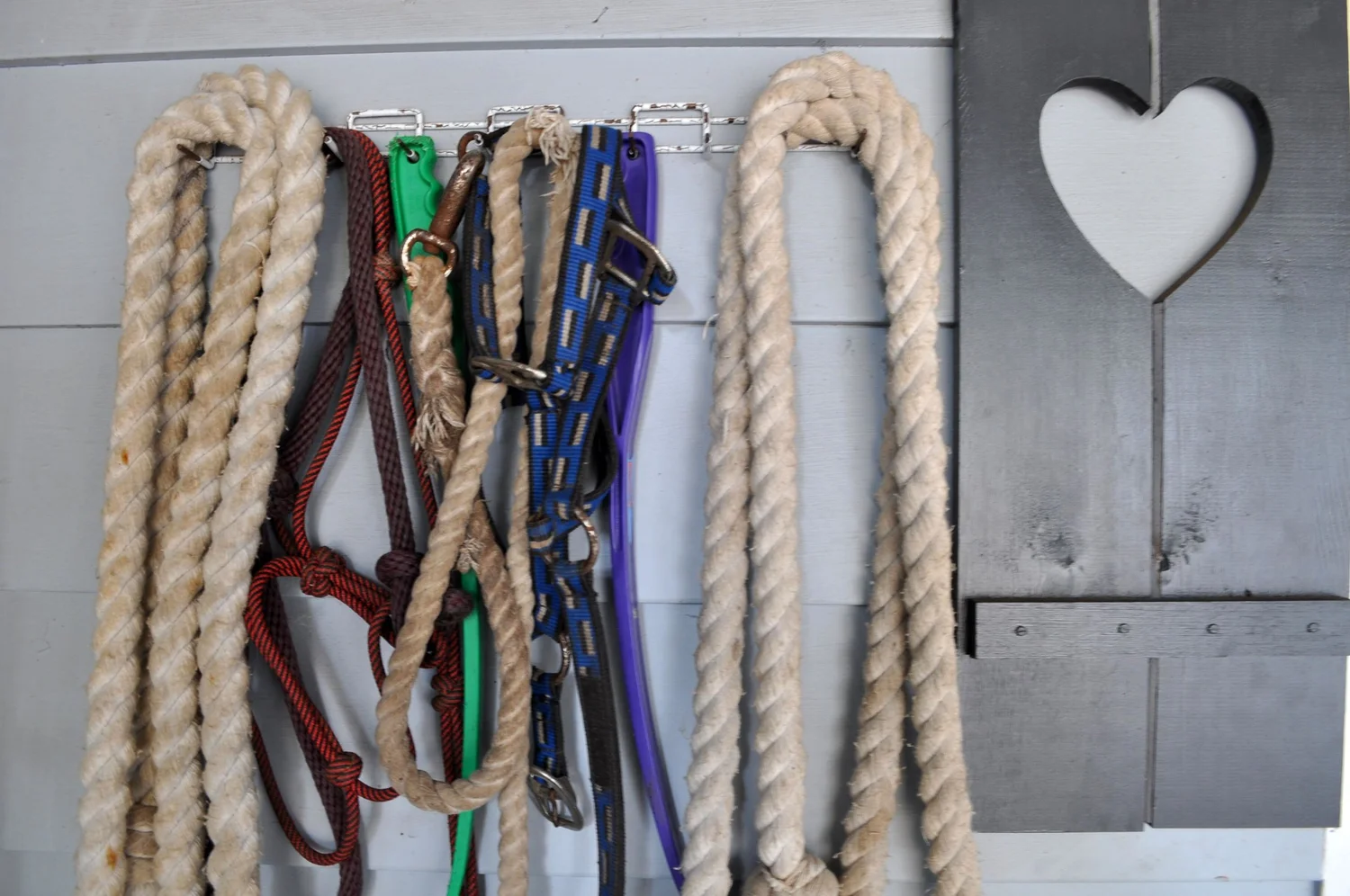 Donate — Narrow Gate Horse Ranch