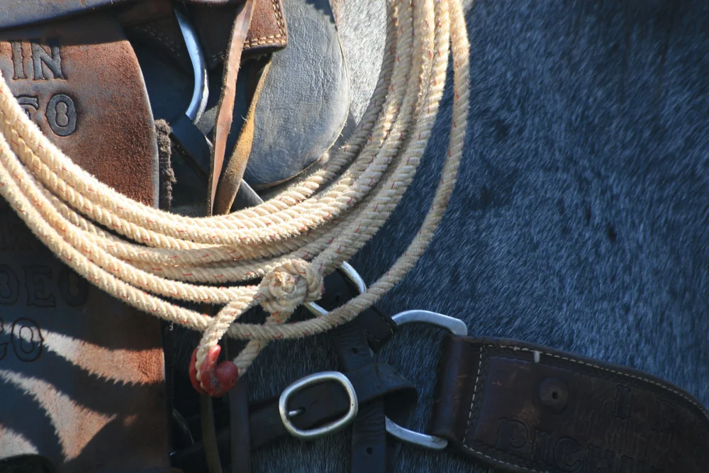 About the Ministry — Narrow Gate Horse Ranch