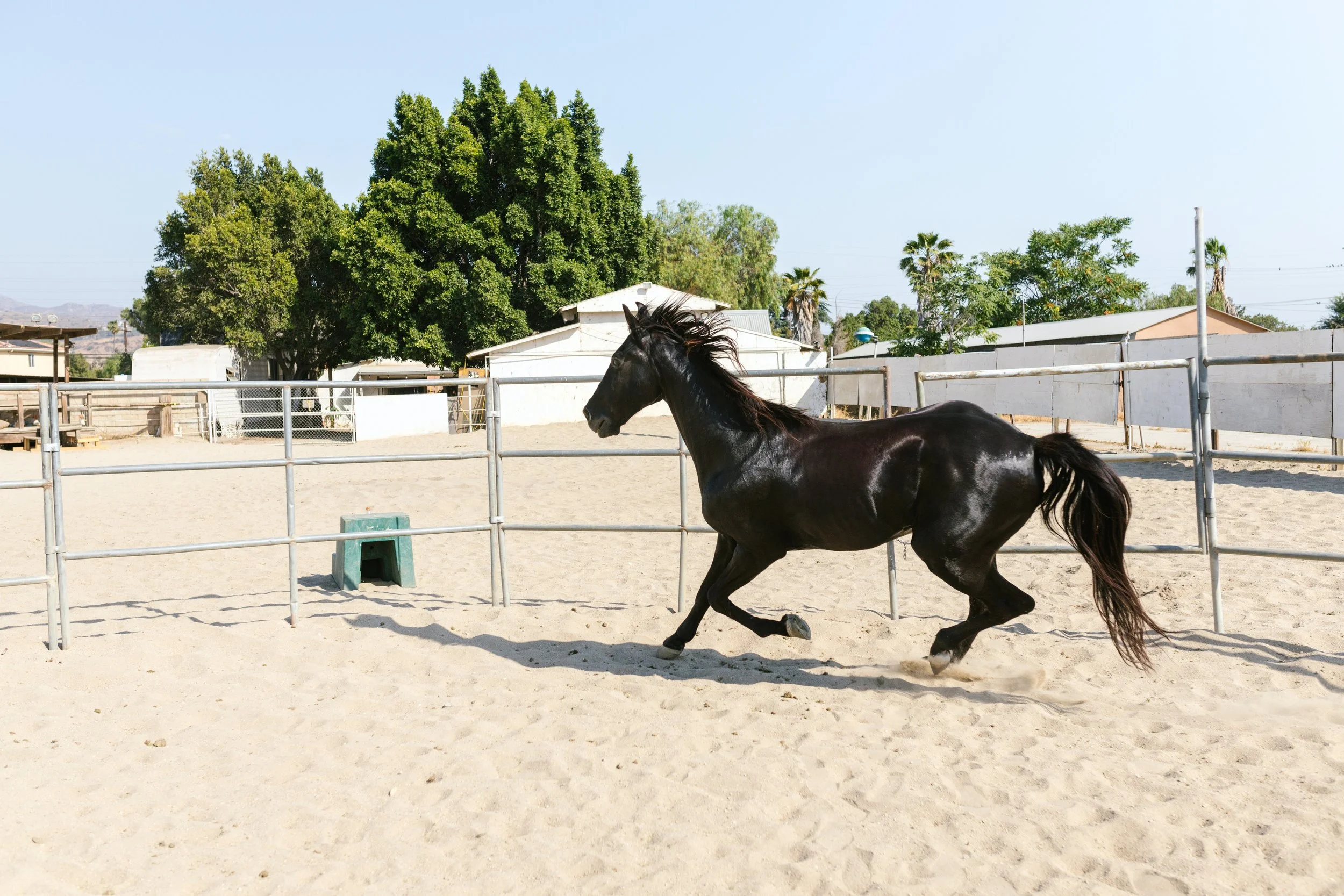 A Stable Word