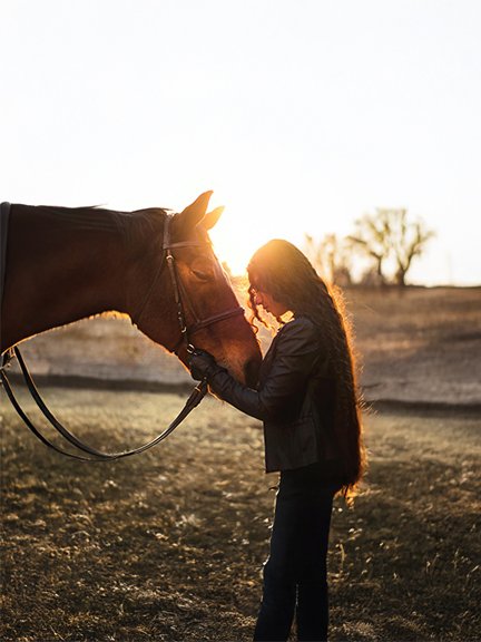 The Truth of a Horse