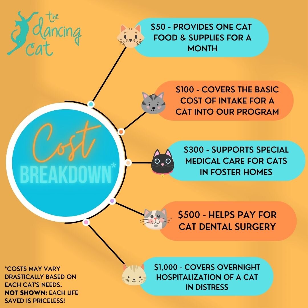 Our 8-year anniversary fundraiser is proof that pawsbilities are infinite when kindness and generosity shine bright! We have a long way to go to meet our $80,000 goal but are so encouraged by the support you show us here on social media. Not surprisi