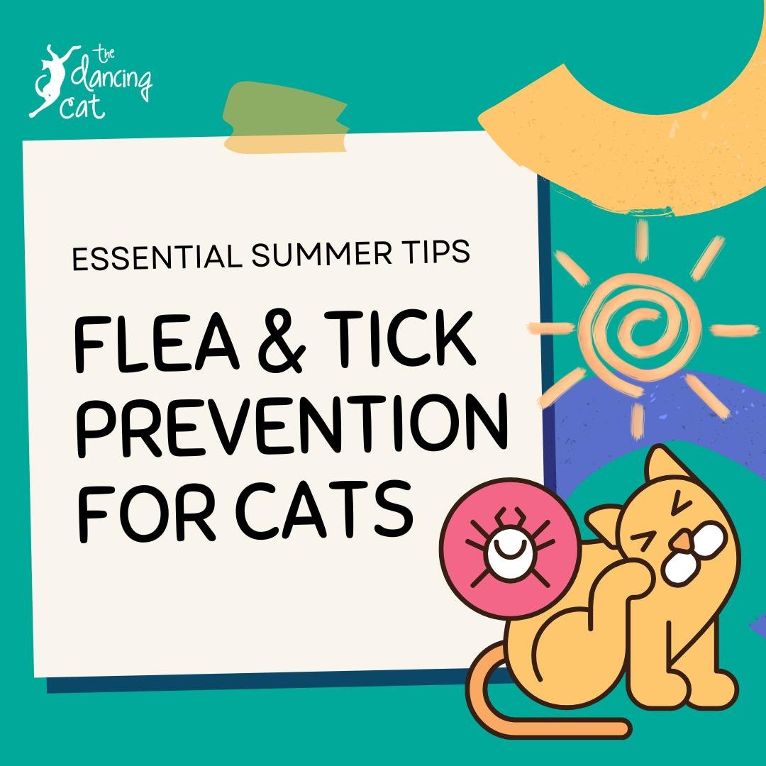 With warmer temperatures and increased humidity, summer creates the perfect environment for fleas and ticks to thrive. Fleas can lay hundreds of eggs (yikes!), making infestations grow rapidly if not controlled.

Protect your cats this season by usin