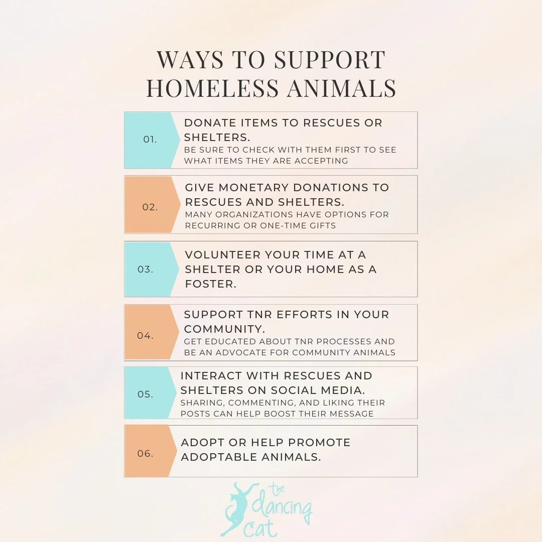 Today is International Homeless Animals Day, which sadly could be any day of the year given the growing number of unhoused animals in our community. As a rescue organization, we work daily toward alleviating the issue through our rescue efforts, but 