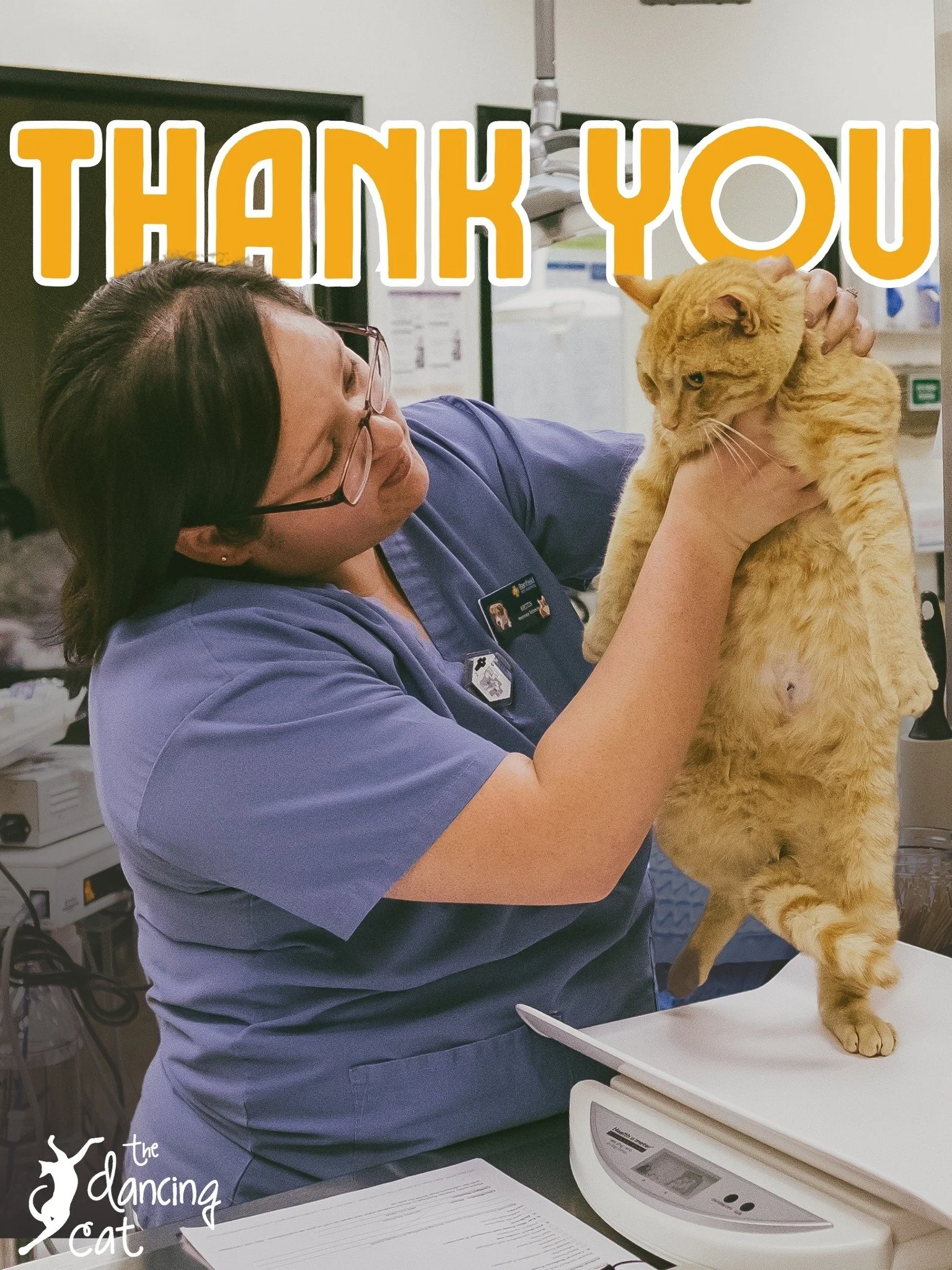 In the immortal words of Mr. Rogers, "Look for the helpers, you will always find people who are helping." Those words certainly apply to all veterinary professionals, a group of the bravest people you could ever hope to meet. It takes the d