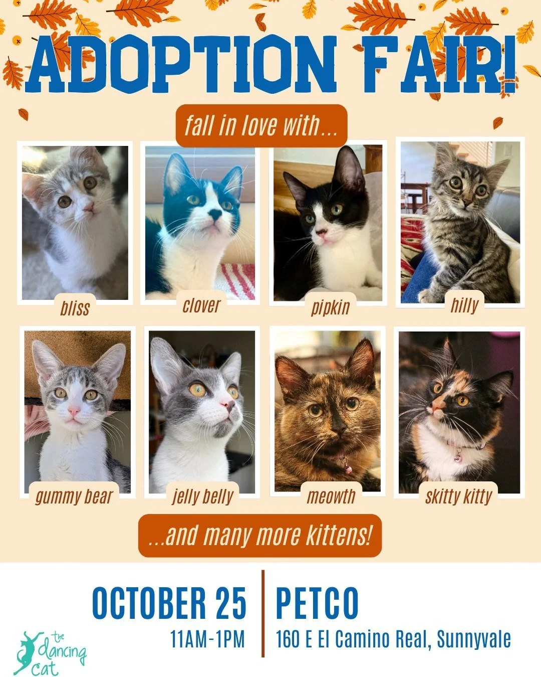 Nearly 20 of our adorable kittens have RSVPed “yes” to this weekend’s kitten adoption fair, and they’re all dressed in their fluffiest fall coats, hoping you’ll be there to greet them!
Saturday, October 25
11 AM –