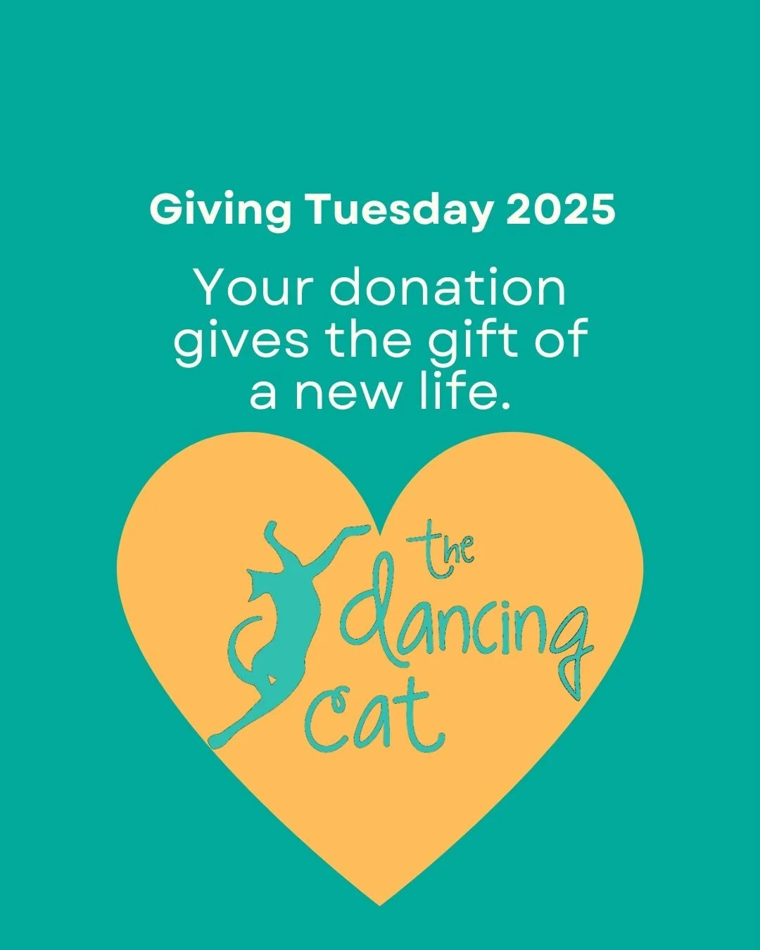 This Giving Tuesday, we are excited to announce that all donations will be matched one-for-one up to a total of $100,000. A small group of generous donors has offered this wonderful match, and we need your help to reach our goal.

The Dancing Cat's i