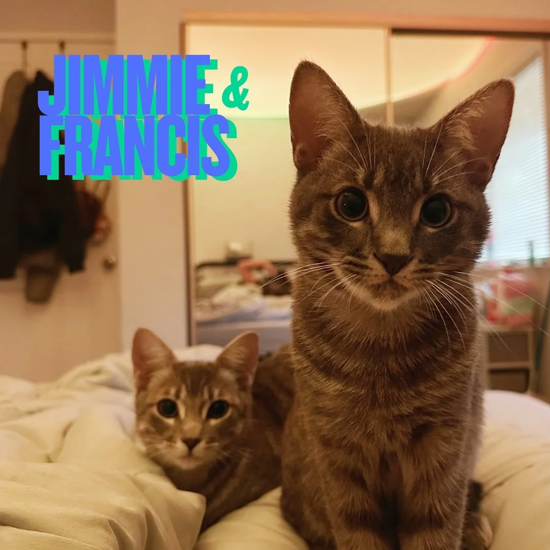 Cuteness alert! We just got a little photo update for Jimmie and Francis, and we can&rsquo;t believe how dashing they are! These bonded 4-month-old brothers are growing braver (and more handsome!) by the day, and continuing to develop their charming 