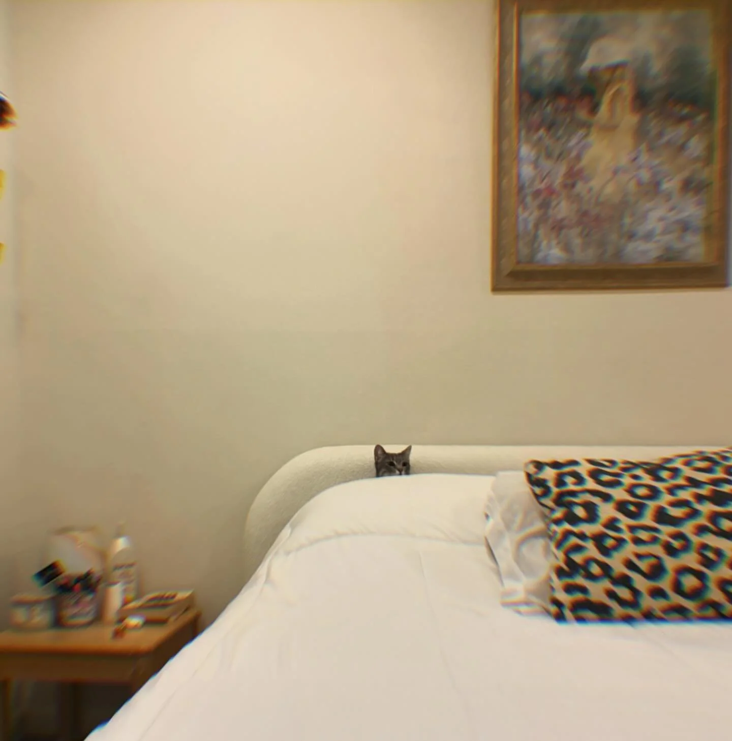 &bull;* smol bb, big bed*&bull; 

Satya says Sundays are for snugs and if that sounds like a bit of you, she might be your gal.
Satya is the softest, sweetest little love bug you&rsquo;ll ever meet! At just 2 years old, she has absolutely perfected t