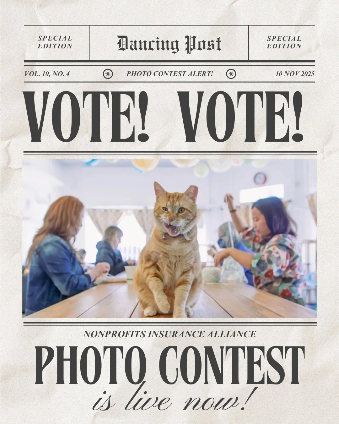 The Dancing Cat has entered the NIA 2025 Nonprofit Photo Contest, and your vote can help us win a cash prize donation that will help cover our operations costs as we remain temporarily closed to the public. No sign-up or account needed: click, vote a
