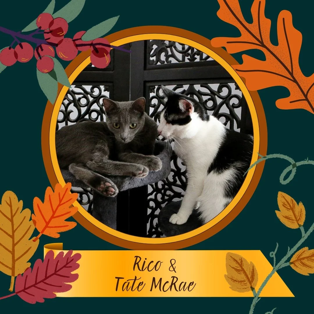 The Dancing Cat would like to extend our most genuine and sincere gratitude to you, our beloved community. While our doors have remained closed because of the damage to  our building, our hearts have cracked wide open thanks to the outpouring of love