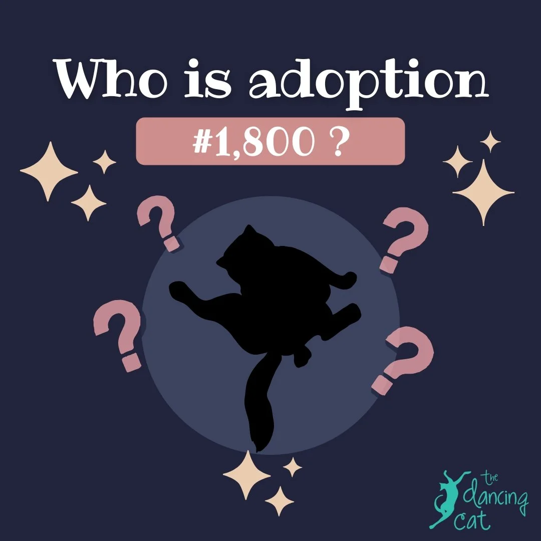 We have some pretty BIG mews! We are thrilled beyond words to be announcing our 1800th adoption on Giving Tuesday. Some of our internet sleuth friends might be able to guess who it is but all will be revealed on Tuesday! Drumroll until then...