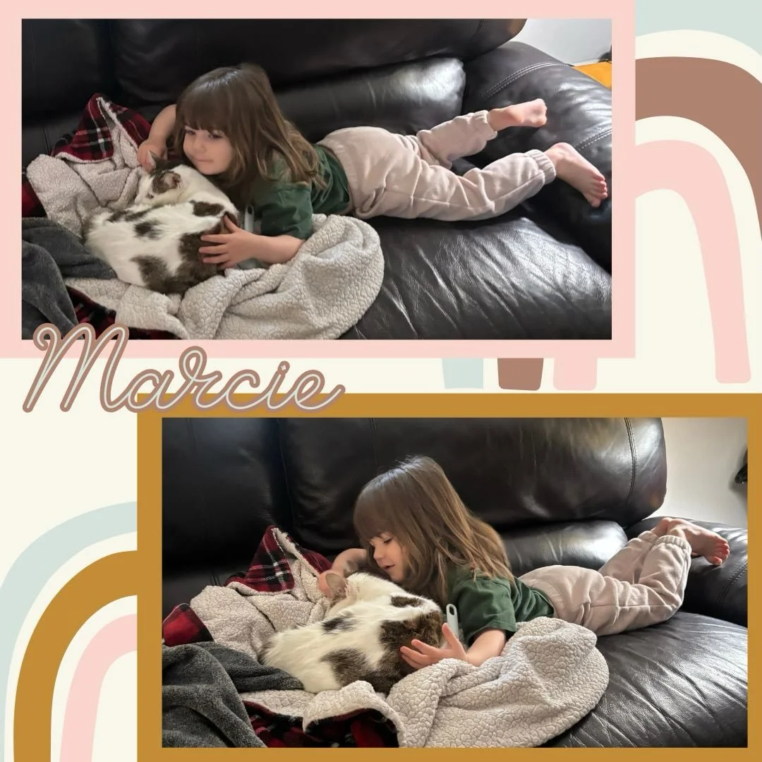 Some of our best fosters are smaller than you think! Marcie is being doted on while her brother Snoopy relaxes out of view, perhaps it was Marcie&rsquo;s turn for make believe hour ✨ Our foster families make every single rescue possible, we could not