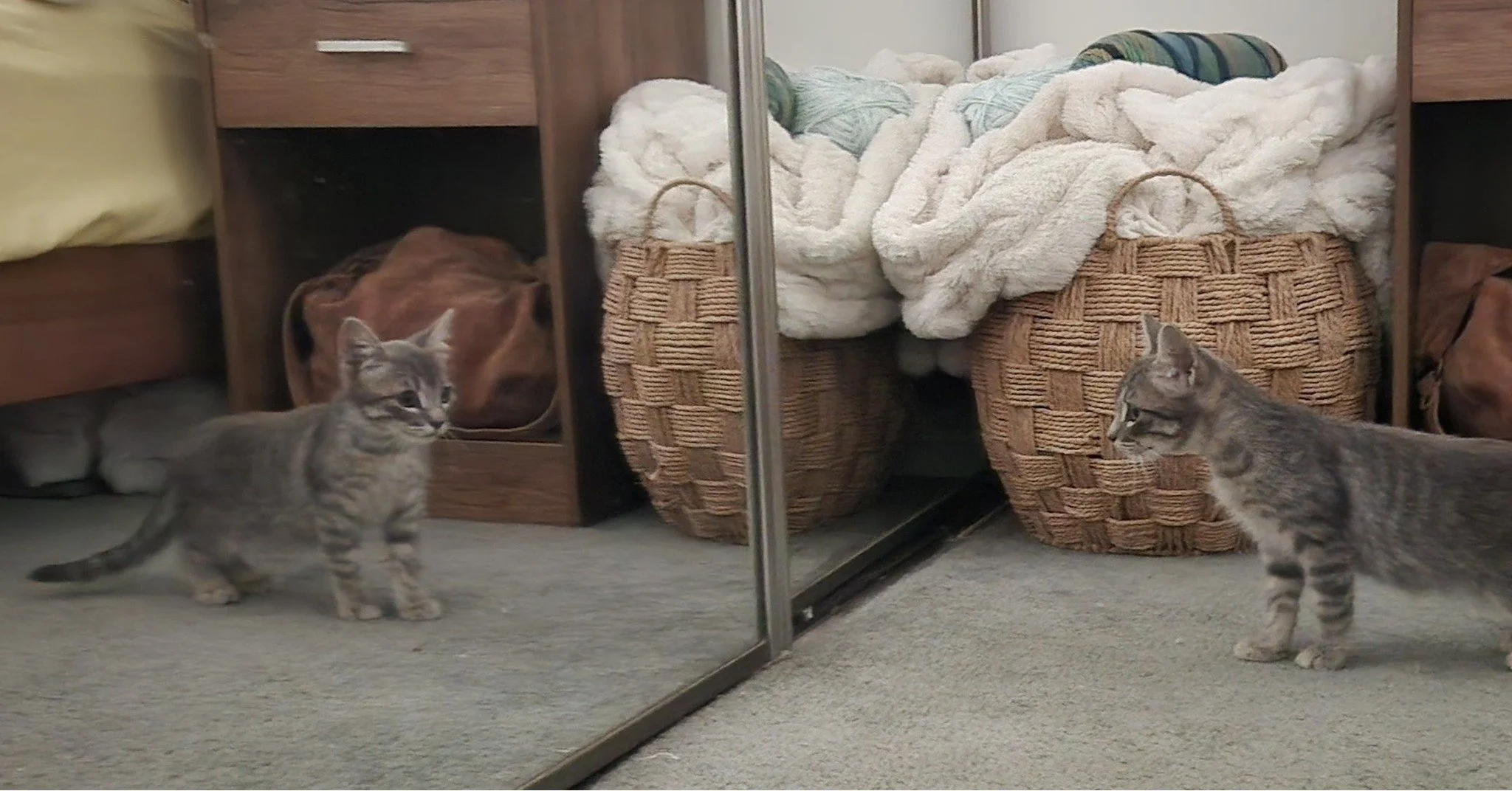 📸 Caption this photo of Jimmie