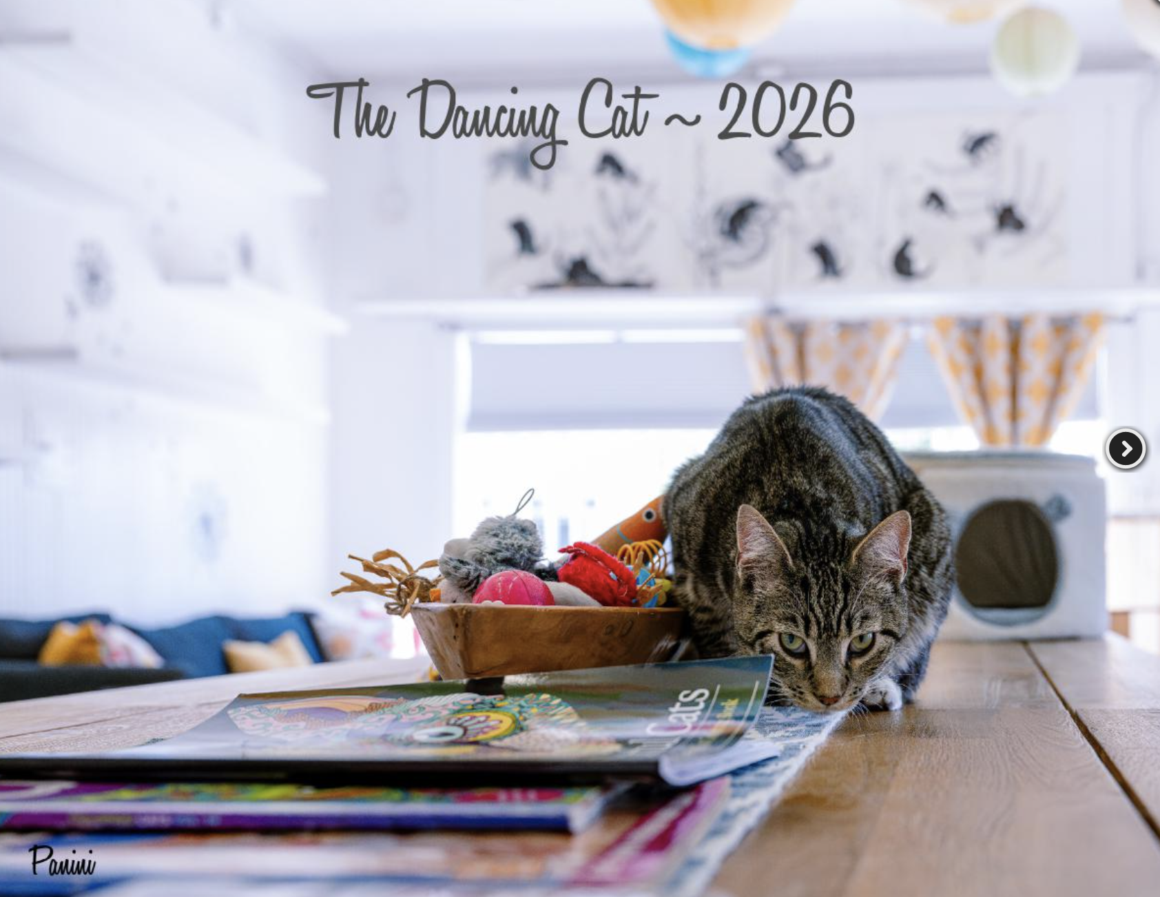 The Dancing Cat