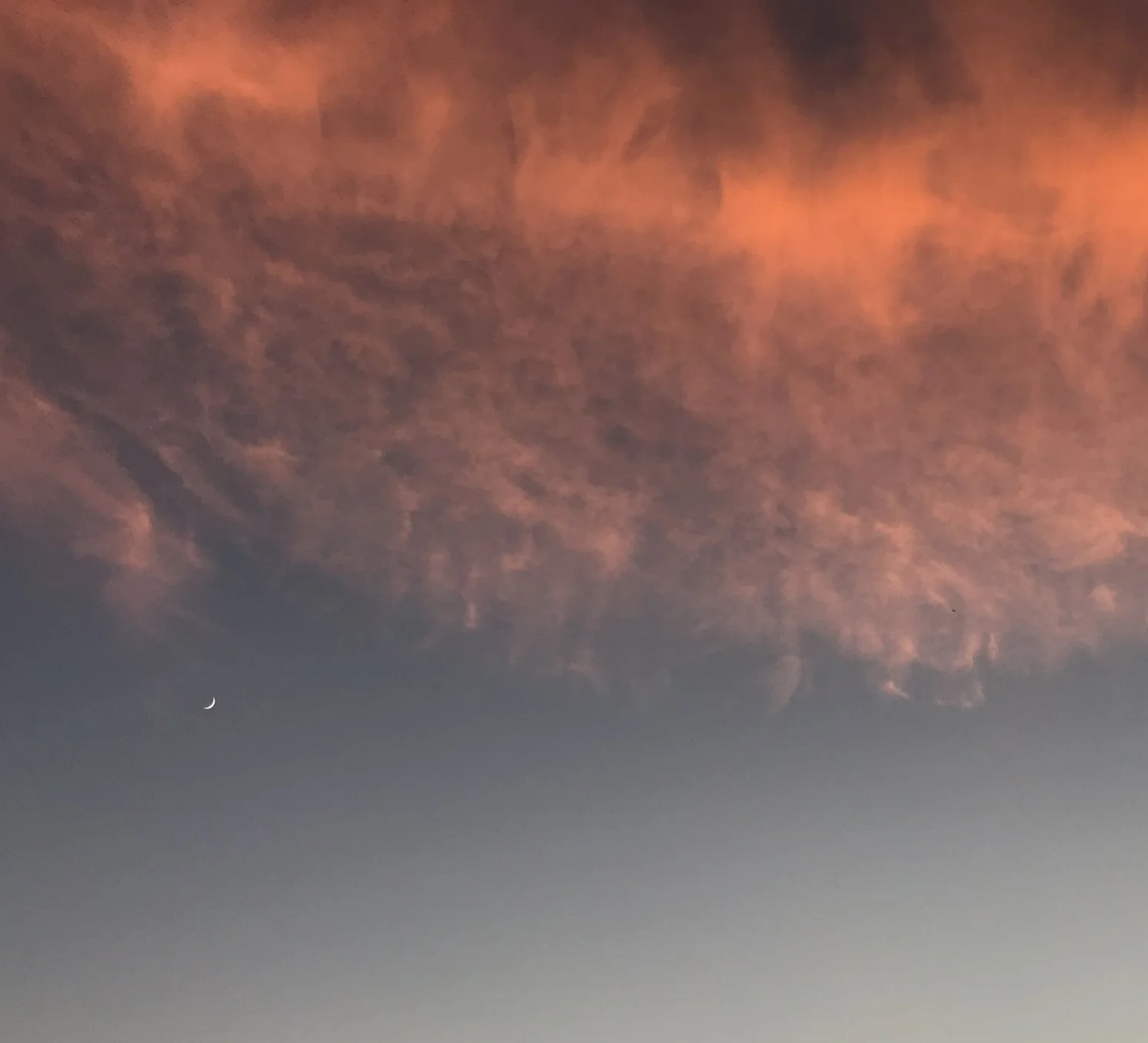Pink Sky Moon.JPG
