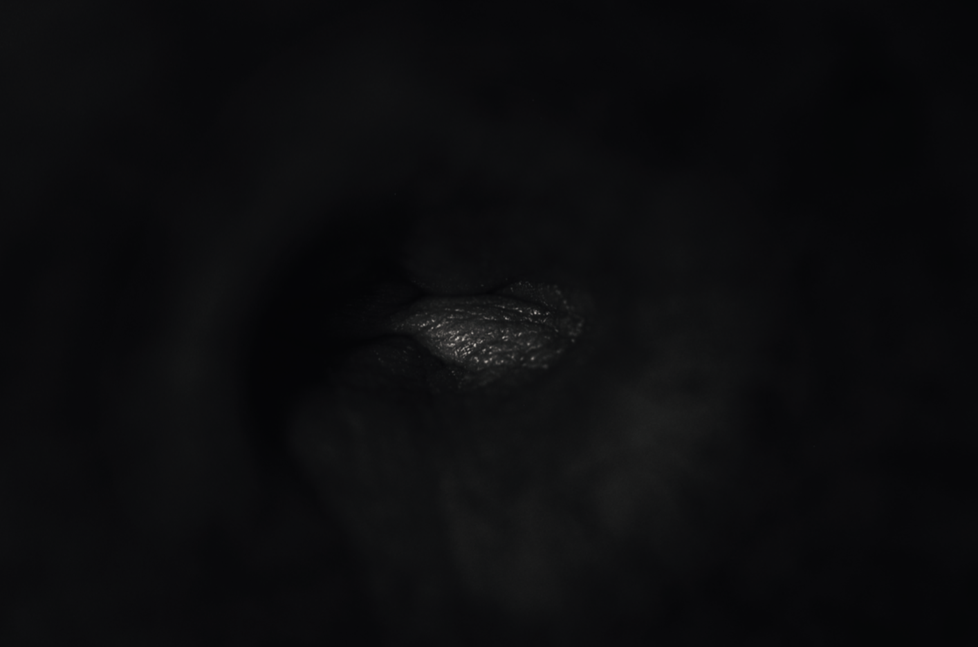 Captura de pantalla 2019-02-01 a la(s) 8.22.35 p. m..png