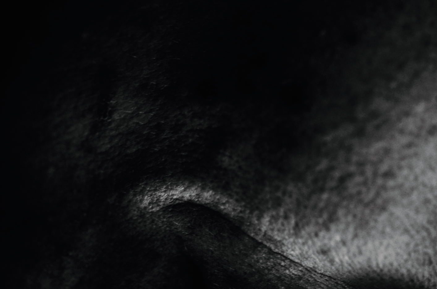 Captura de pantalla 2019-02-01 a la(s) 8.22.40 p. m..png