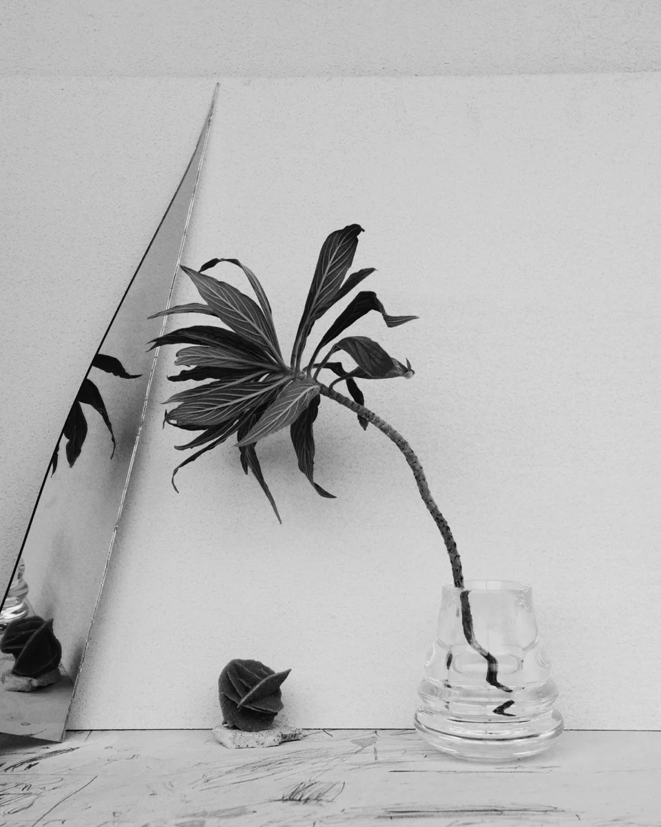 Mark Pavlovits Look Book 3.jpeg