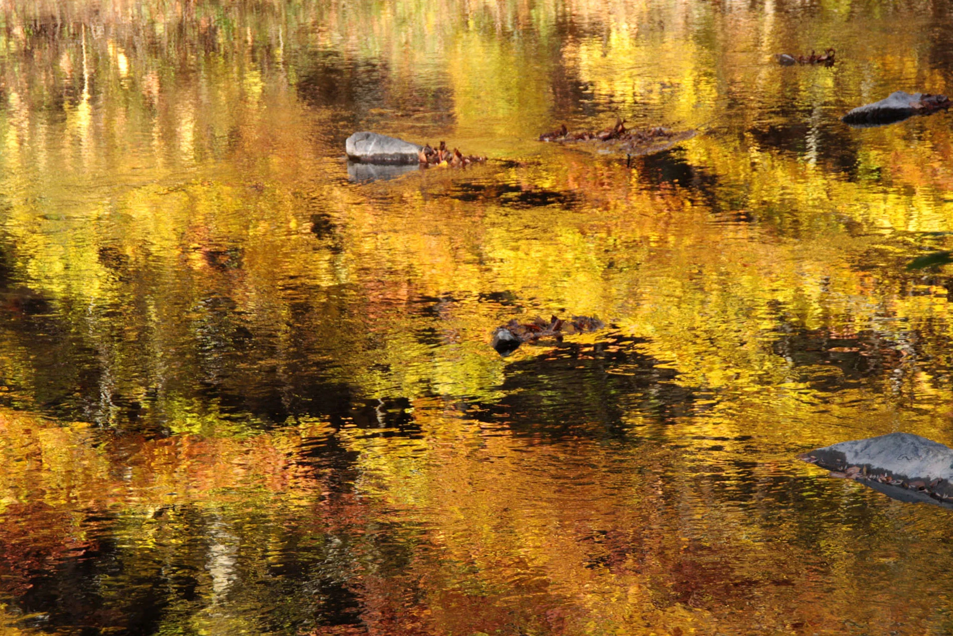 Sluice