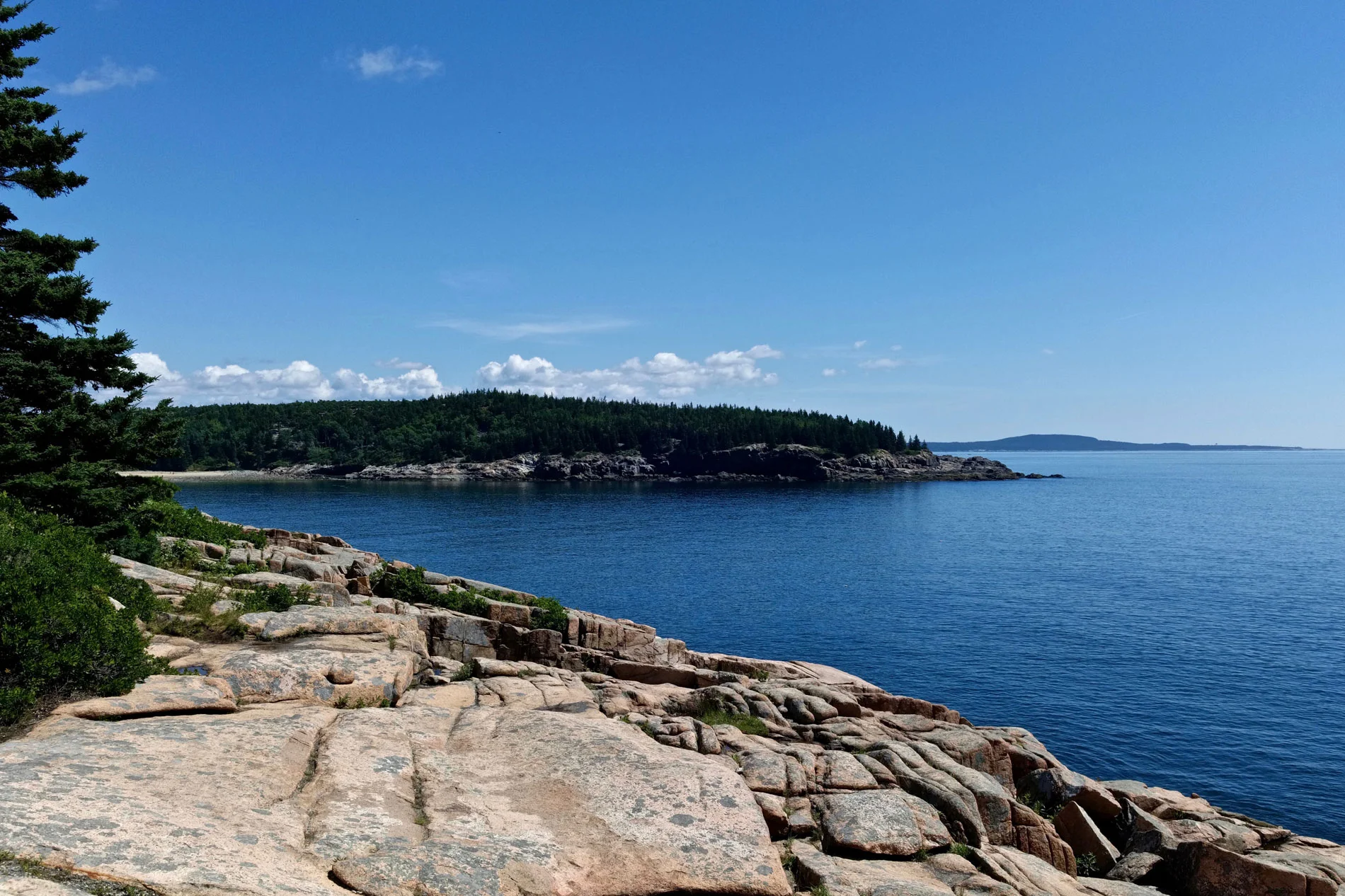 Acadia - Park Loop Rd