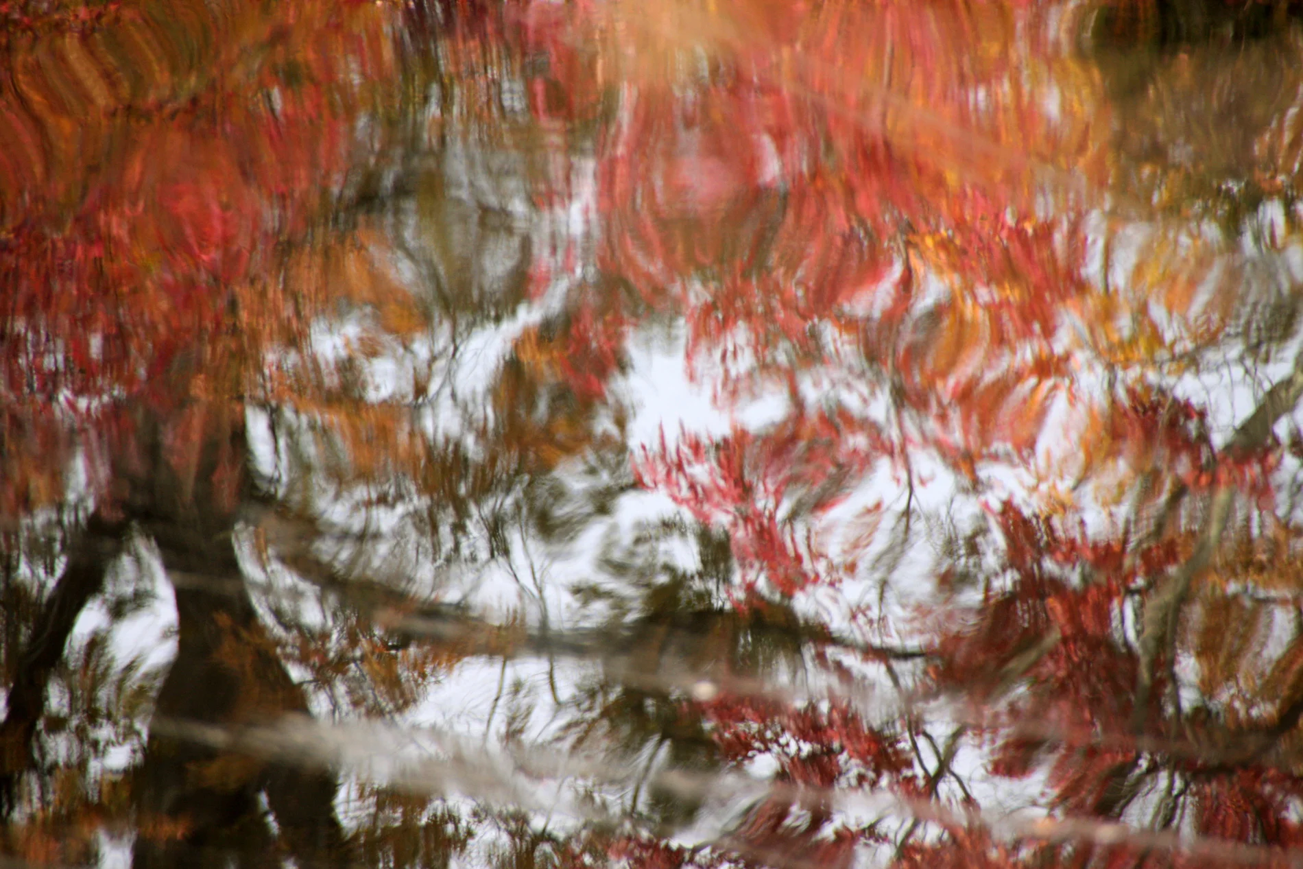 Ondine