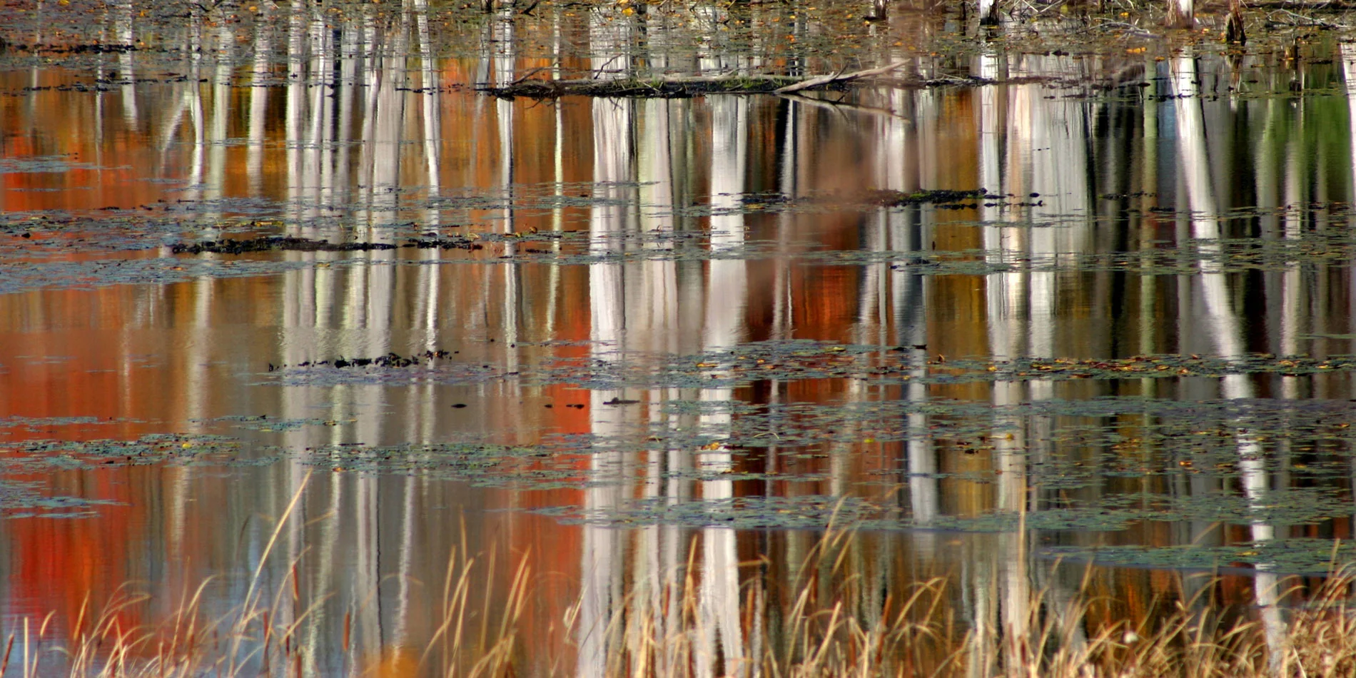Podunk Pond, MA