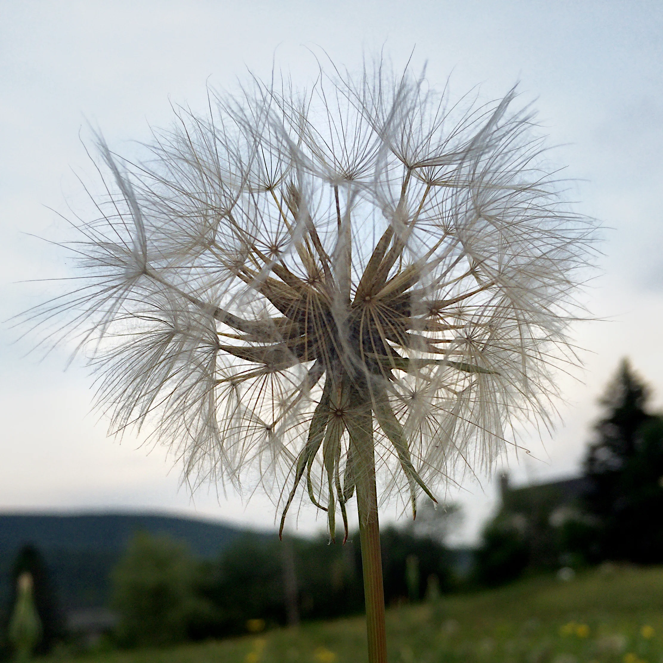 From a Child's Perspective