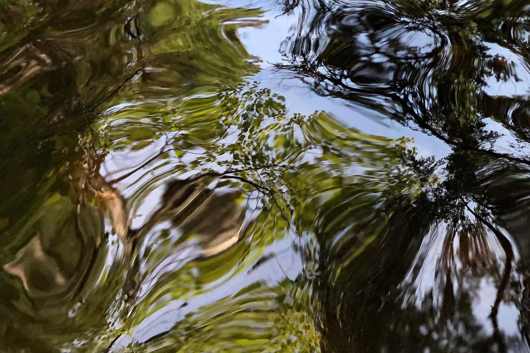 Centrifugal