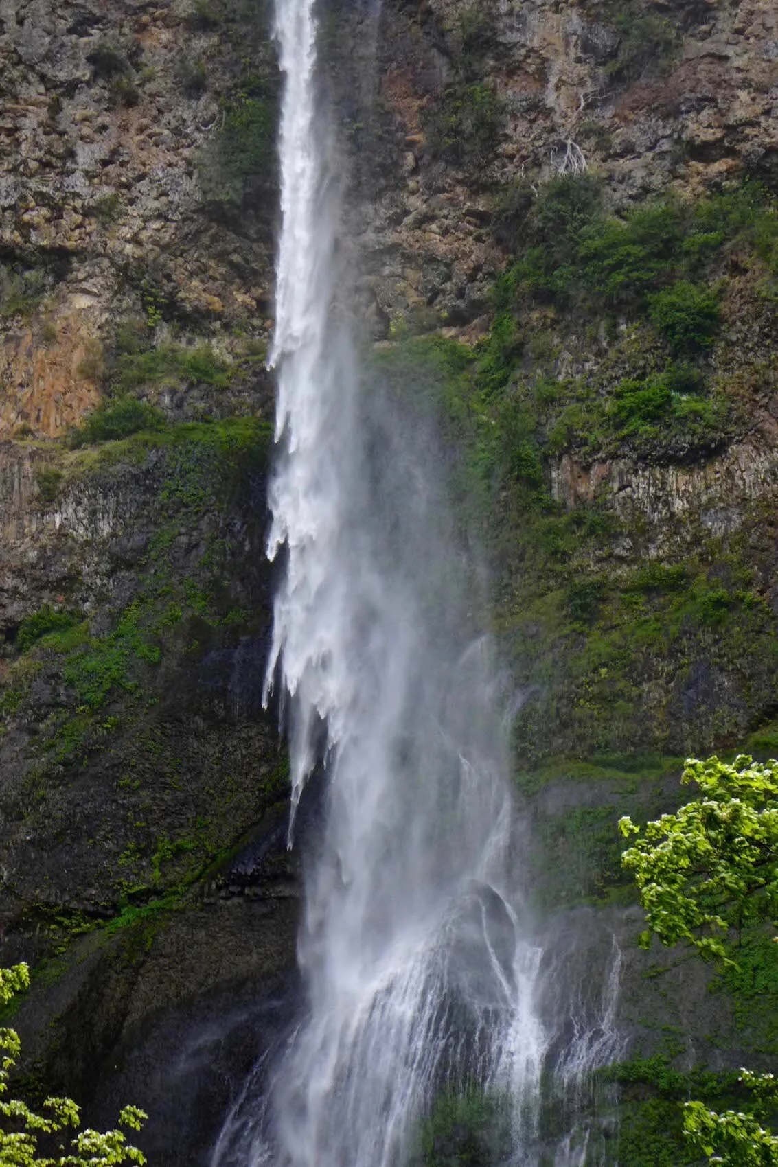 Torrent - Multnomah Falls, OR