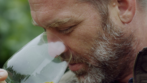 static1.squarespace-2.jpg