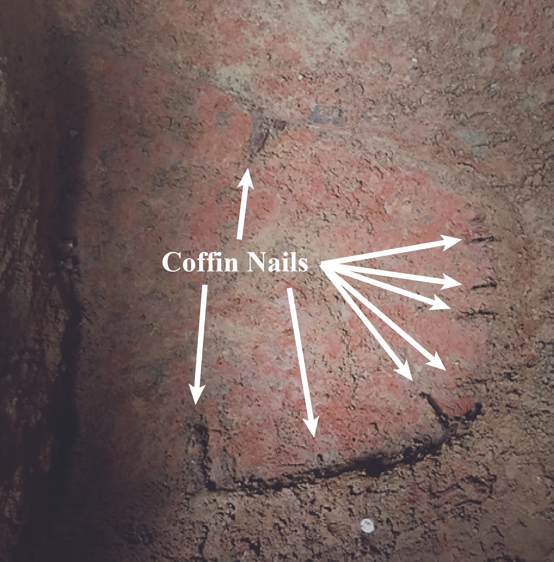 Despite the disintegration of the wooden coffin the nails remain in place.