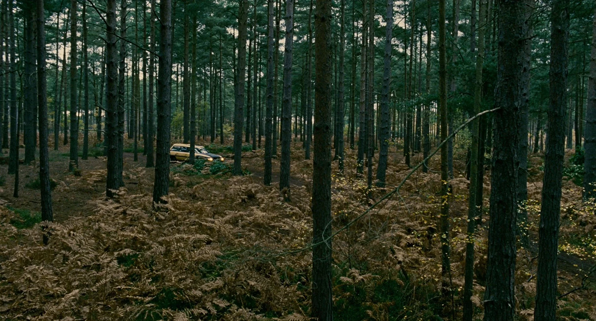 3 - Children of Men.jpg
