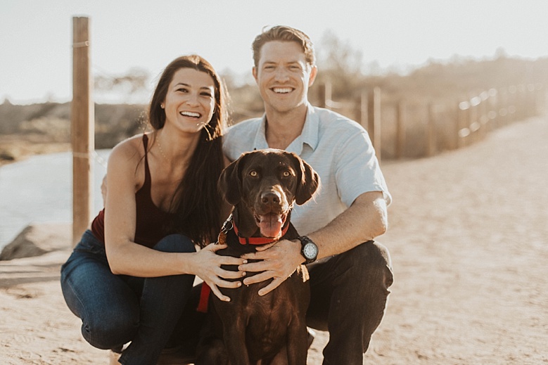 dog engagement