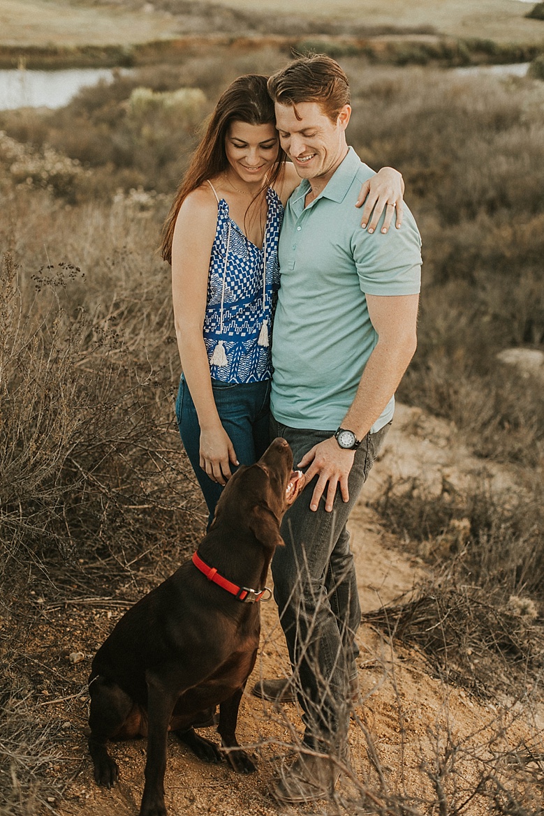 dog engagement