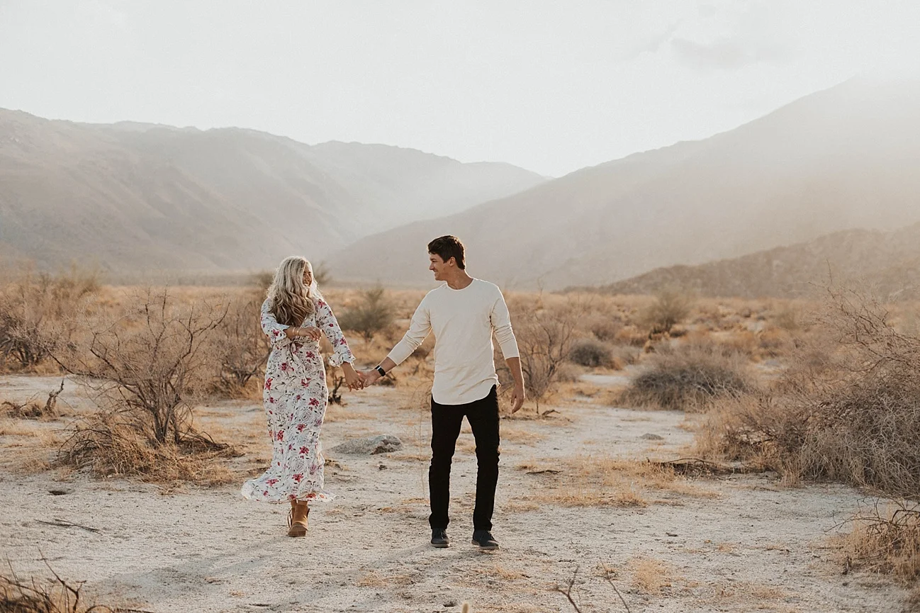 anza borrego engagement