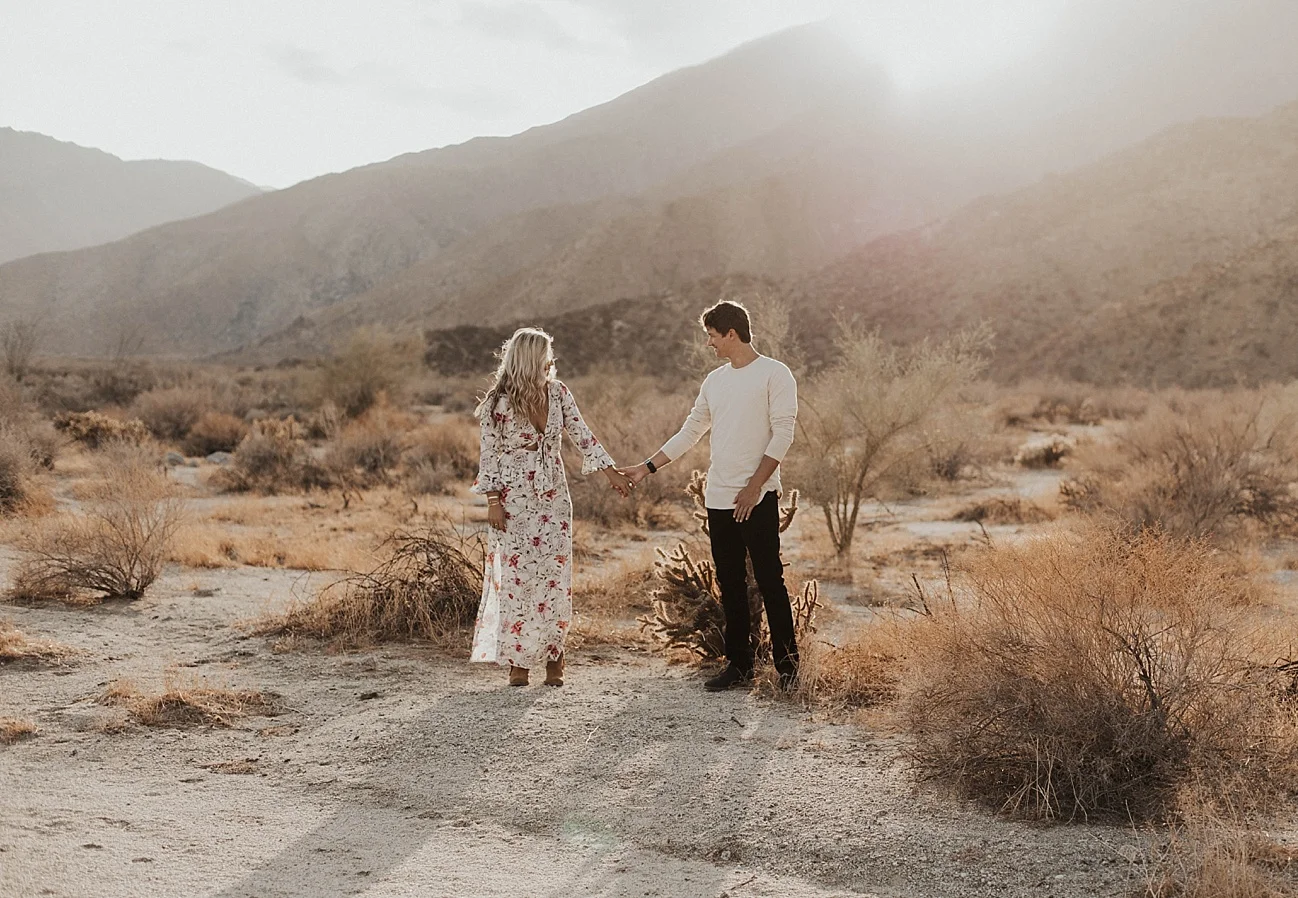 anza borrego engagement
