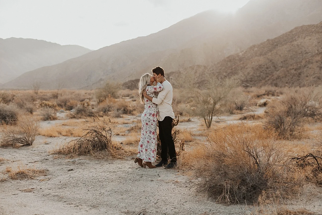 anza borrego engagement