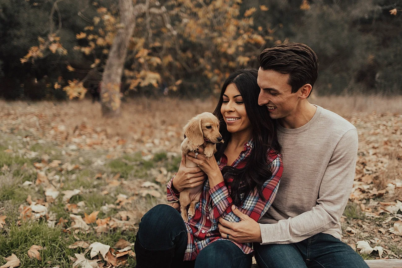 Christmas couples shoot with puppy