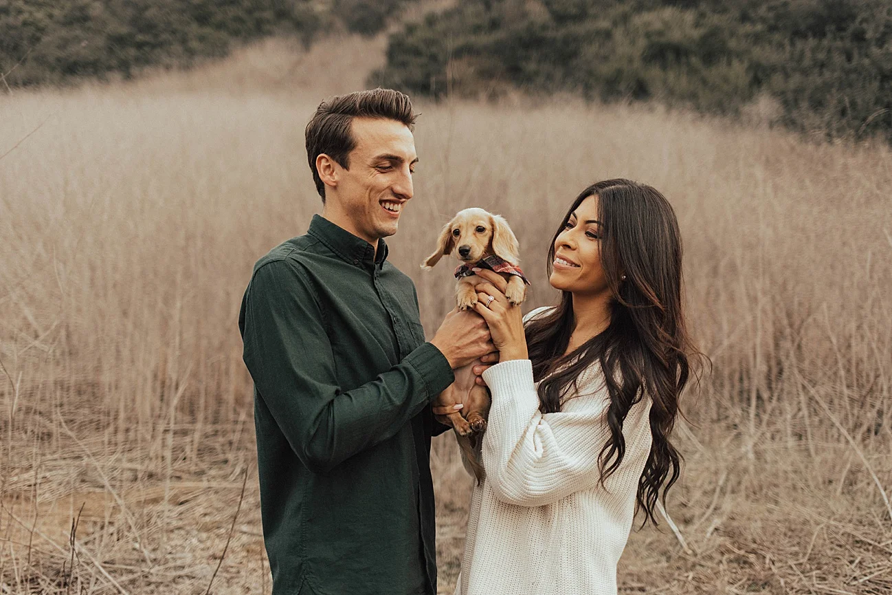 Christmas couples shoot with puppy