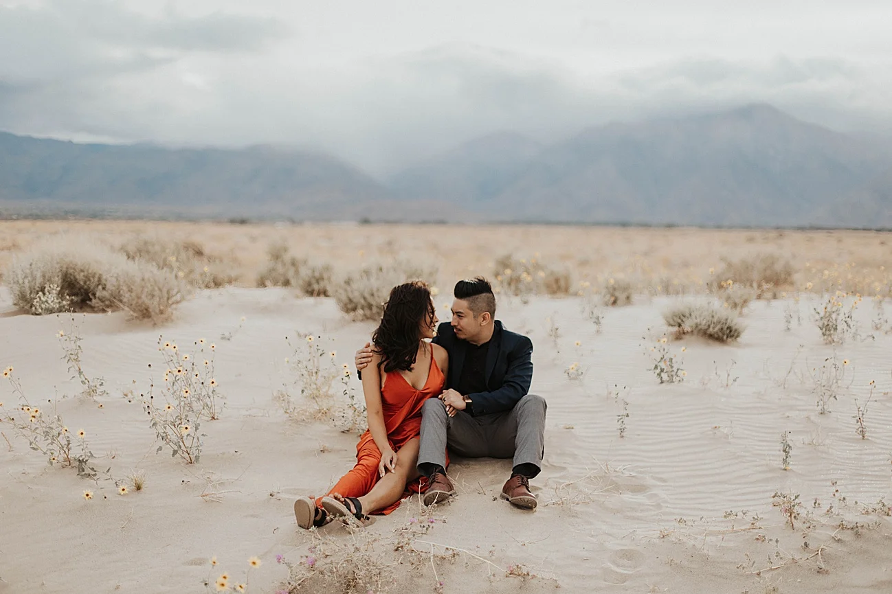 desert-engagement-anza-borrego15.jpg
