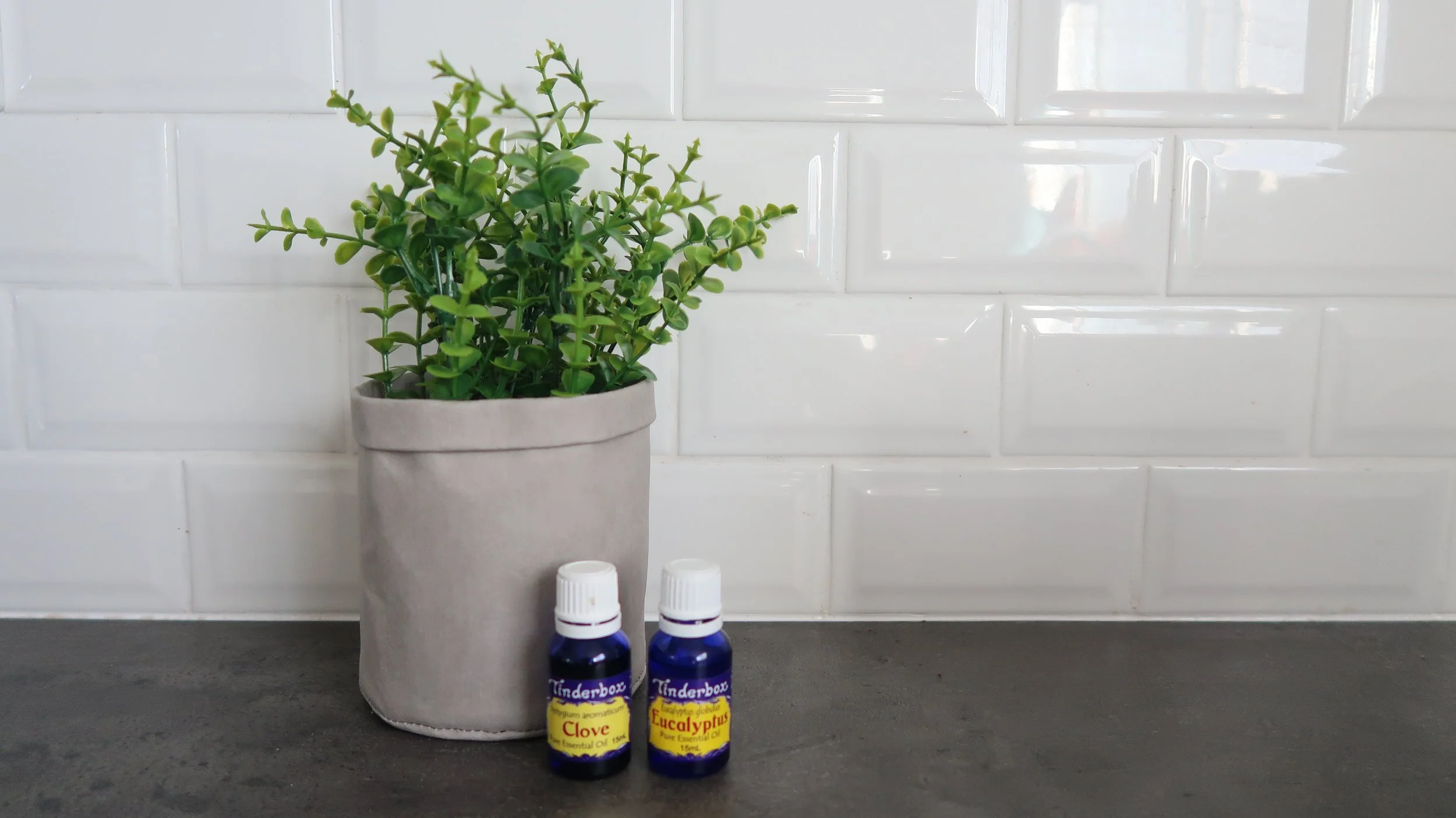 tinderbox-essential-oils.jpg