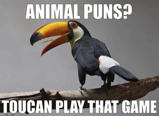 toucan.jpg