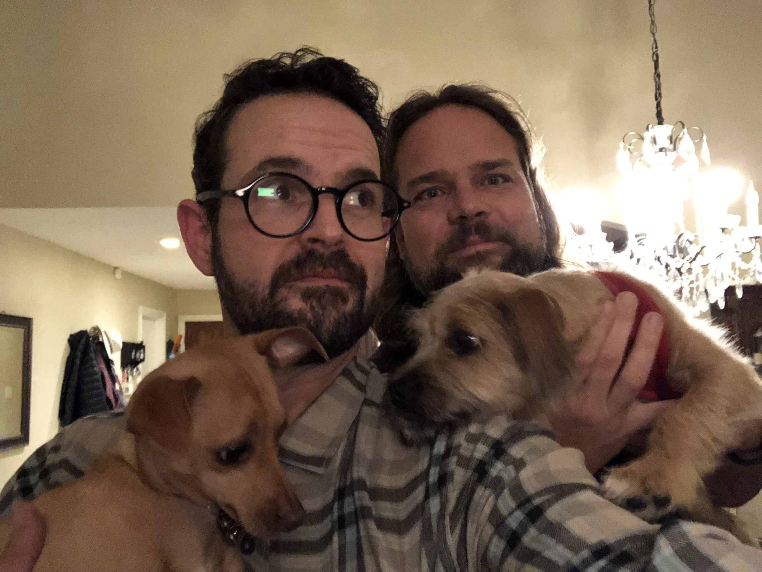 We both have puppies. You have surely heard about them, although we try not to bore you with dog stories- but we let them hang out with each other while recording this episode. It took like 10 shots to get anything whilst holding these dogs during a rain storm.. Pedro (Dan’s dog) is younger, a little anxious and excitable. Bindi (Jeff’s dog) is older, shaggy, rambunctious and bounding with energy. We had no idea we adopted the puppy versions of ourselves….