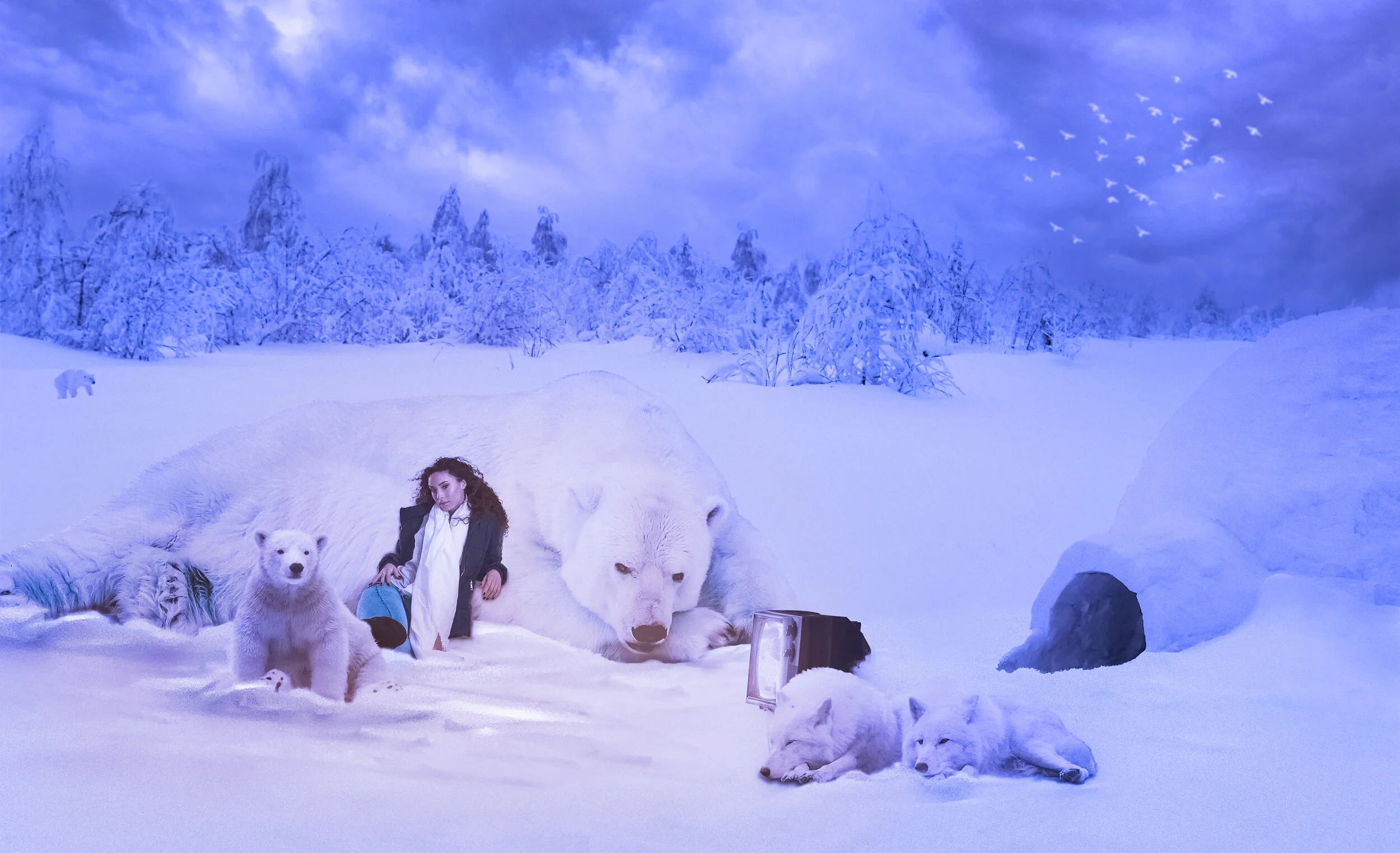 Polar- Jasmine Bellamy.jpg