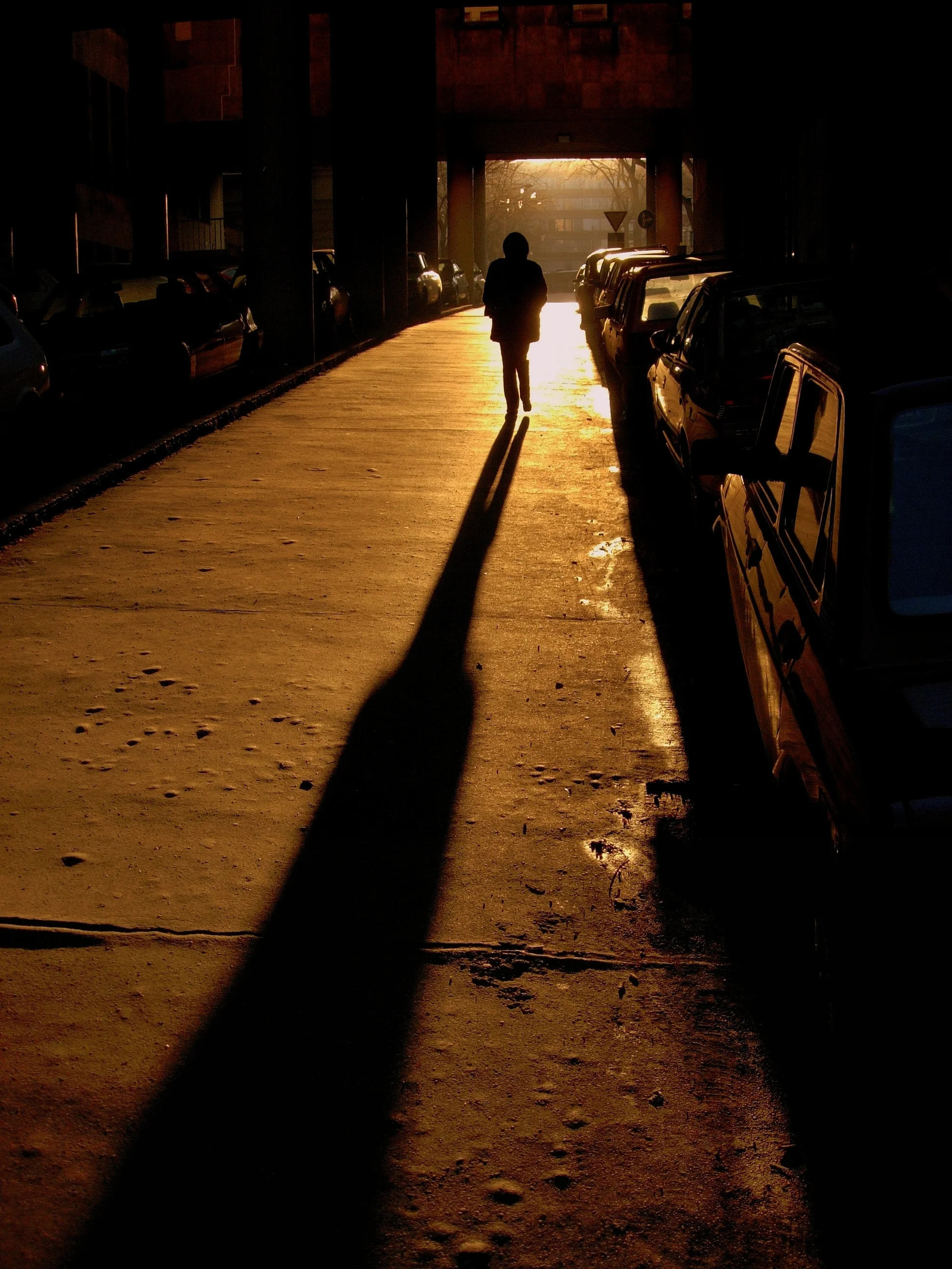 DSCN2264.jpg