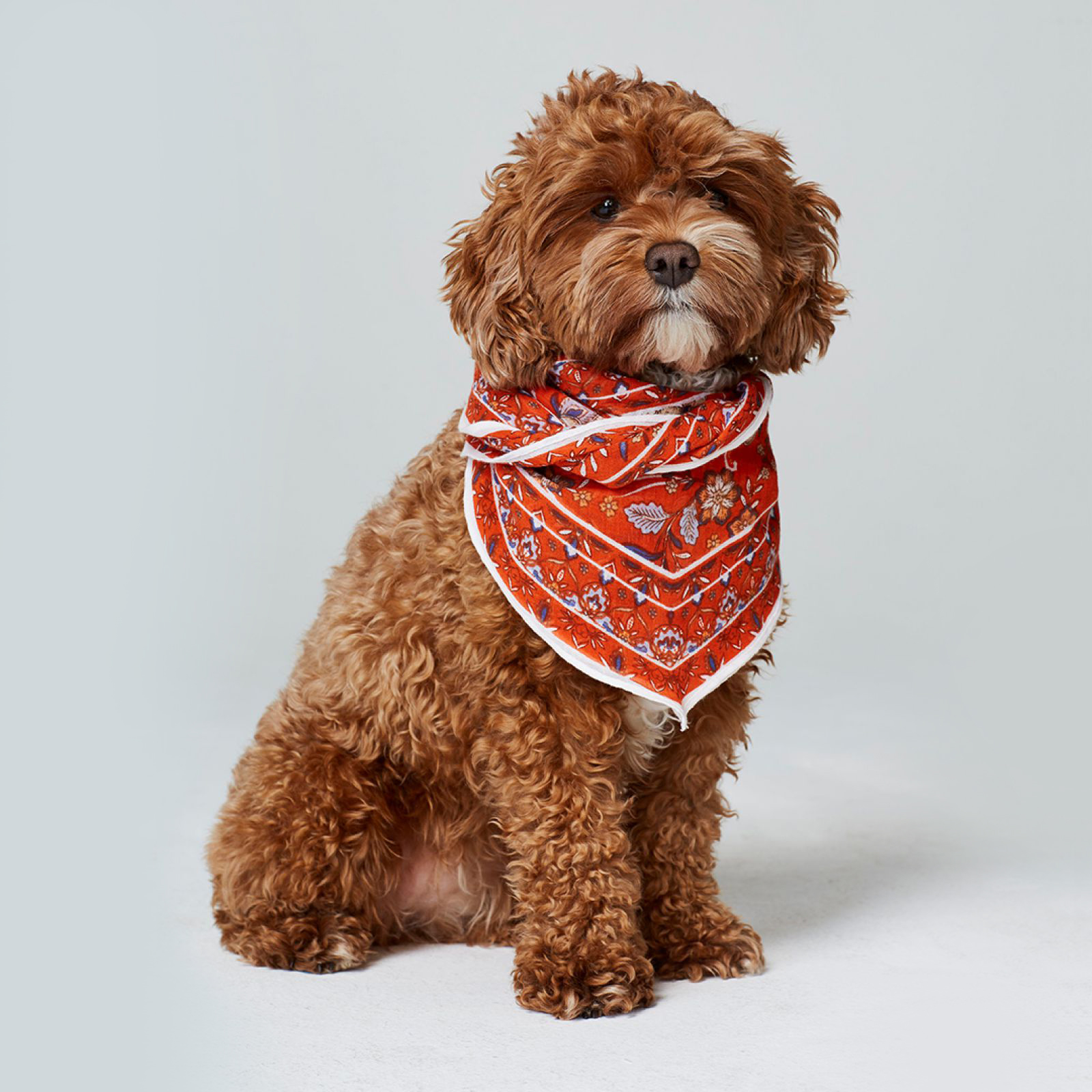 1906_Cali_Scarf.jpg