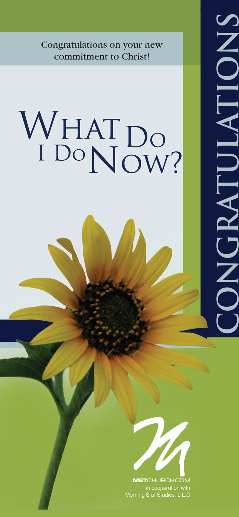 nb-brochure.jpg